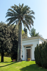 exotic garden with palm Bellagio Italy Como