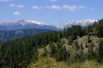 Gruzja, Park Narodowy Borjomi – Kharagauli - górski krajobraz © Iwona