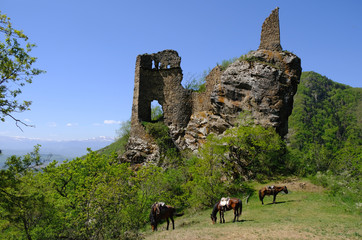 Gruzja, Park Narodowy Borjomi – Kharagauli - konna wycieczka do ruin zamku w górach © Iwona