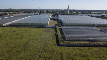 Fototapeta premium Aerial agricultural view of lettuce production field and greenhouse