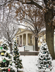 Group of Christmas trees in front of the Fauquier County courthouse in Warrenton Virginia.