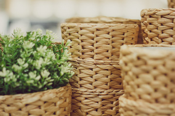 beautiful wicker basket for flowers, in the foreground plant