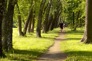 man jogging along a path between trees in a summer sunny park or forest