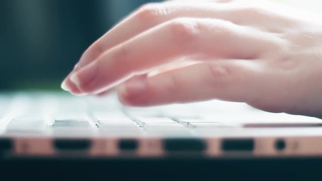 hands of a young woman. using laptop, typing text.