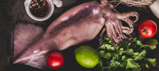 Fresh raw seafood squid calamary and ingredients on dark background. Top view