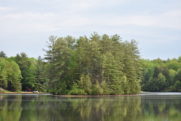 Fototapeta na wymiar Island in the Lake