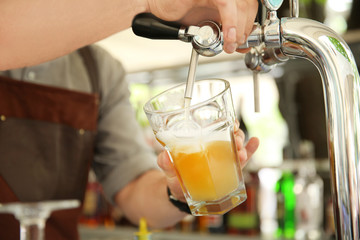 Fototapeta na wymiar Bartender pouring fresh cold beer from tap, closeup