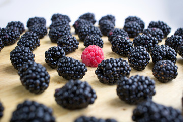 Tasty juicy berries composition of many blackberries and one raspberry