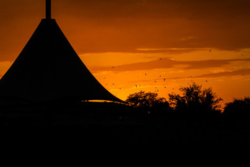 Silhouette of traditional arabic tent in beautiful red sunset with silhouette birds