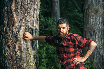 Tall brutal man standing in forest. Lumberjack resting while leaning on tree. Hipster with roses tattoo on arm