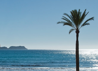 Paguera beach in brilliant winter sunlight