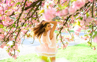 Fototapeta premium Woman in lovely pink fluttering dress walking in botanical garden. Girl with charming smile posing under sakura tree. Cheerful lady enjoying beauty of spring, happiness concept