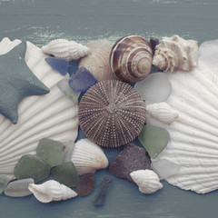 composition of a set of shells stones pebbles star hedgehog wooden background old gray worn copy...