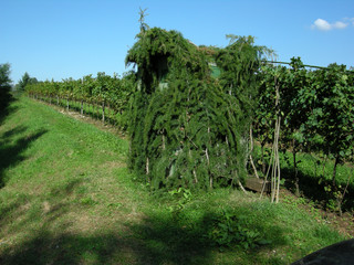 Obraz premium Polowanie Caza Caccia Hunting Lov Охота Jagd شکار 