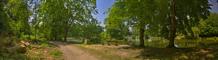 Waldstück an einem stillgelegten Seitenarm der Nidda in Frankfurt am Main