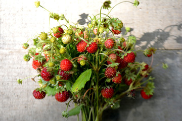 Bouquet of wild strawberry on wooden background