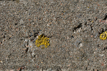 Gray spotted a concrete wall, background, texture