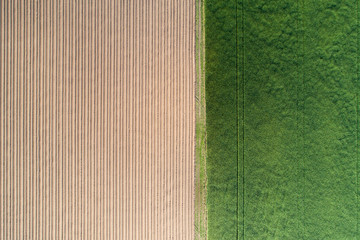 Farmland from above. Green and brown agricultural fields drone view.