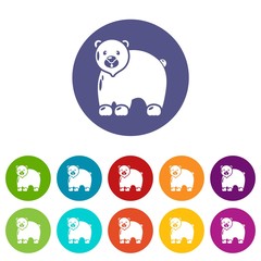 Canadian bear icons color set vector for any web design on white background