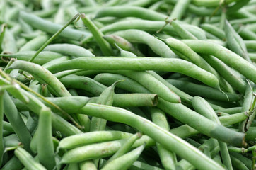 Green Beans 3