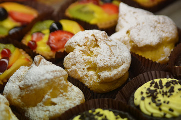 Italian Pastries in Urbino 4