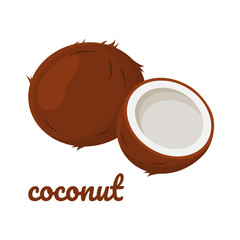Coconut icon. Vector illustration