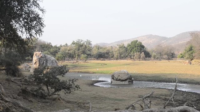 beautiful lake in the Ranthambore National Park, India