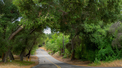 Fototapeta premium Temecula Wine Country