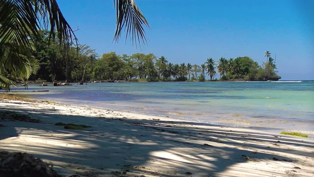Idyllic Caribbean white virgin beach with palm trees on the water.  Unspoiled island with pristine crystal waters. Carenero virgin beaches in Bocas del Toro islands in the Isla Bastimentos in Panama.