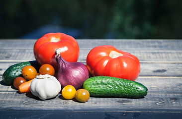 Vegetables in the summer