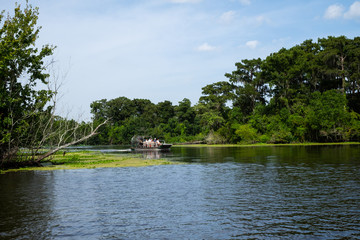 Swamp tour