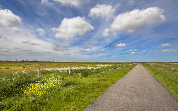 Secondary rural road in polder landscape