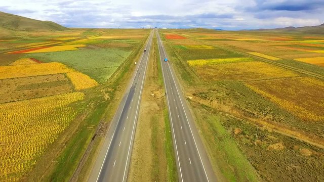 Rustic road with flowered plantations of quinoa and amaranth aerial drone view.  Colorful fields on either sides of the road in spring. Lands between Oruro and La Paz in Bolivia.