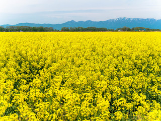 北海道の風景