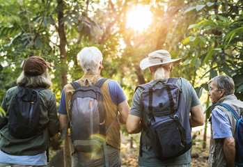 Group of senior adults trekking in the forest - obrazy, fototapety, plakaty