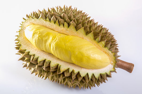 Durian Isolated On White Background