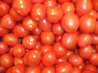 ripe red tomatoes