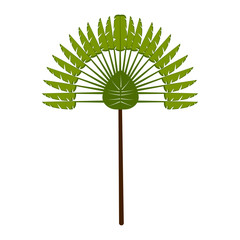 Isolated tree icon