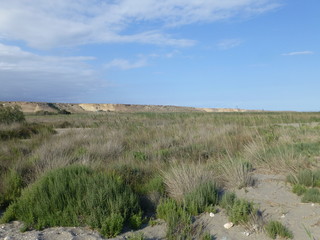 Parque natural Punta Entinas Sabinar en Almerimar / Ensenada San Miguel, poblacion  situada en El Ejido, Almeria ( Andalucia, España)