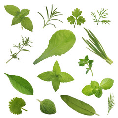 set of herbs isolated