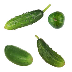 set of cucumbers on white background