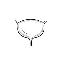 Urinary bladder hand drawn outline doodle icon