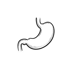 Stomach digestion hand drawn outline doodle icon