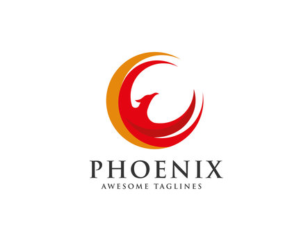 phoenix circle logo vector, circle eagle head vector icon logo template