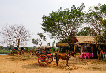 Horse carts waiting for tourists