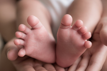 Baby feet in hands