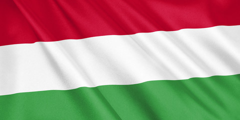 Hungary flag waving with the wind, wide format, 3D illustration. 3D rendering.