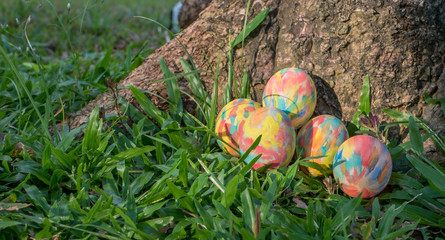Row of Easter eggs in Fresh Green Grass.
