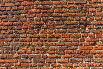 Old red brick wall on a sunny day