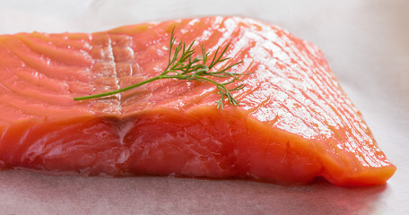 one piece of fleshy salmon fillet